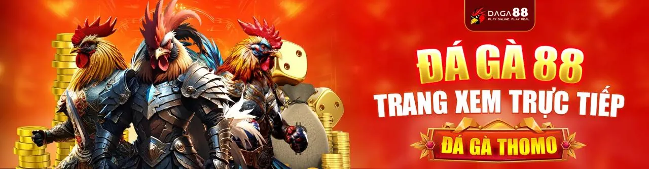 Đá Gà Trực Tiếp